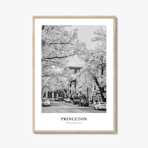 Princeton Wall Art, Princeton Wall Decor, Princeton Poster, Princeton Home Decor, Princeton Travel Gift, Princeton Travel Print