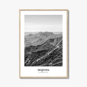 Sequoia National Park Wall Art, Sequoia Wall Decor, Sequoia Poster, Sequoia Home Decor, Sequoia Travel Gift, Sequoia Travel Print