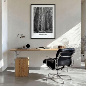 Redwoods Photo Print Black and White, California Poster, US Wall Art, Humboldt County Decor image 3