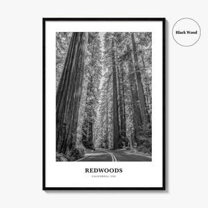 Redwoods Photo Print Black and White, California Poster, US Wall Art, Humboldt County Decor image 7