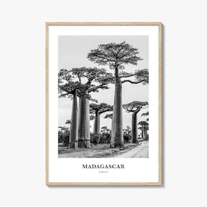 Madagascar Wall Art, Madagascar Wall Decor, Madagascar Poster, Madagascar Home Decor, Madagascar Travel Gift, Madagascar Travel Print