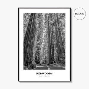 Redwoods Photo Print Black and White, California Poster, US Wall Art, Humboldt County Decor image 9