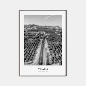 Visalia Wall Art, Visalia Wall Decor, Visalia Poster, Visalia Home Decor, Visalia Travel Gift, Visalia Travel Print