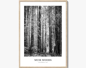 Muir Woods National Monument Wall Art, Muir Woods Wall Decor, Muir Woods Poster, Muir Woods Home Decor, Muir Woods Travel Gift, Travel Print
