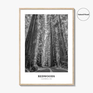 Redwoods Photo Print Black and White, California Poster, US Wall Art, Humboldt County Decor image 6