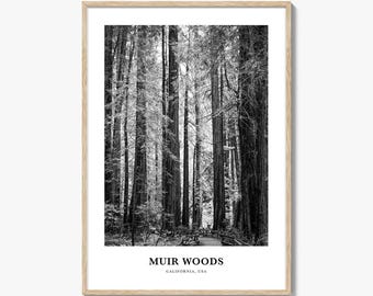 Muir Woods National Monument Photo Print Black and White, California Poster, Marin County Wall Art