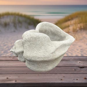 May include: A light gray, textured conch shell planter with a hollow center and a rough, stone-like finish. The object features a spiraled, organic shape with a wide opening, showcasing a matte surface and a neutral, earthy color palette throughout.