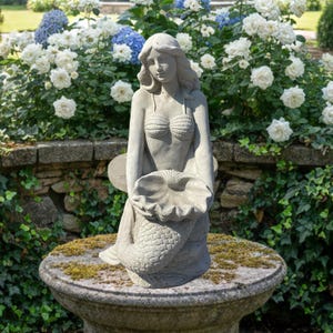 May include: A gray concrete garden statue of a mermaid with long flowing hair, wearing a seashell bikini top, and holding a large open seashell in her hands. The mermaid has a detailed fish tail and is positioned on a stone pedestal.