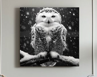 Collection "Antarctica" animal photo portrait picture on canvas modern black white b/w nature winter lifelike Christmas art