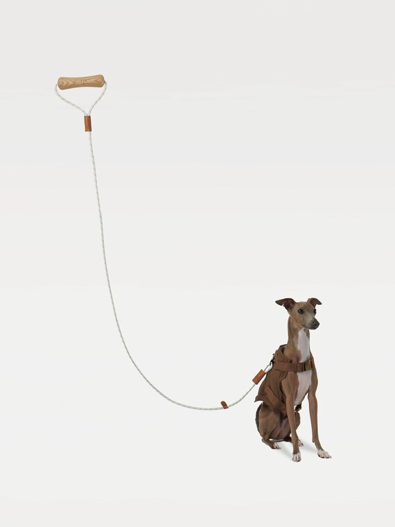 Best dog cheap leash clasp