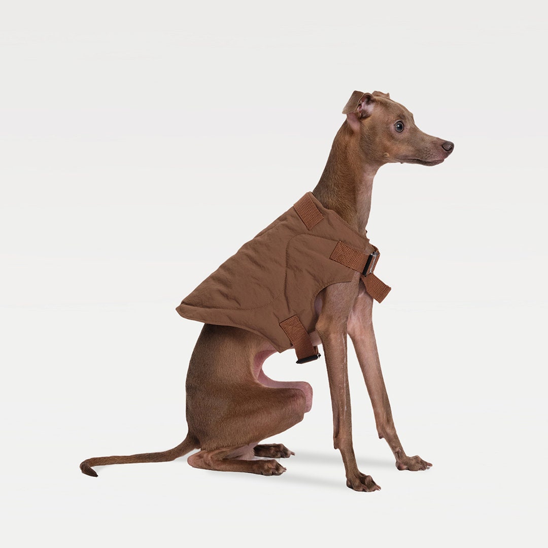 Dog&human Matching Paded Vest Urban Outdoor Padded Vest Match Set Pet