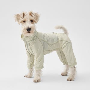 Puede incluir: Mono para perro verde claro con cuello alto y mangas y perneras largas. El perro es de color canela claro y lleva el mono. El mono tiene cierre de cremallera y está hecho de un material ligero.