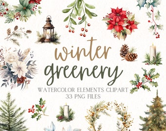 Winter Greenery Clipart - Transparent PNG - Christmas Trees - Wreaths - Holiday Decor Watercolor Clipart - Commercial Use - Digital Download