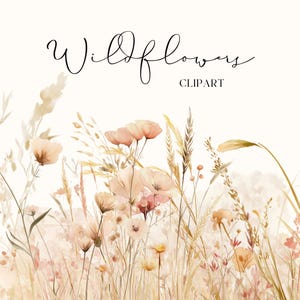 Wildblumen Clipart - Aquarell Herbst Clipart - kommerzieller und persönlicher Gebrauch - digitale herunterladbare Dateien