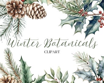 May include: Watercolor clipart featuring winter botanicals, including pine branches, holly leaves, and red berries. The text "Winter Botanicals Clipart" is written in cursive.