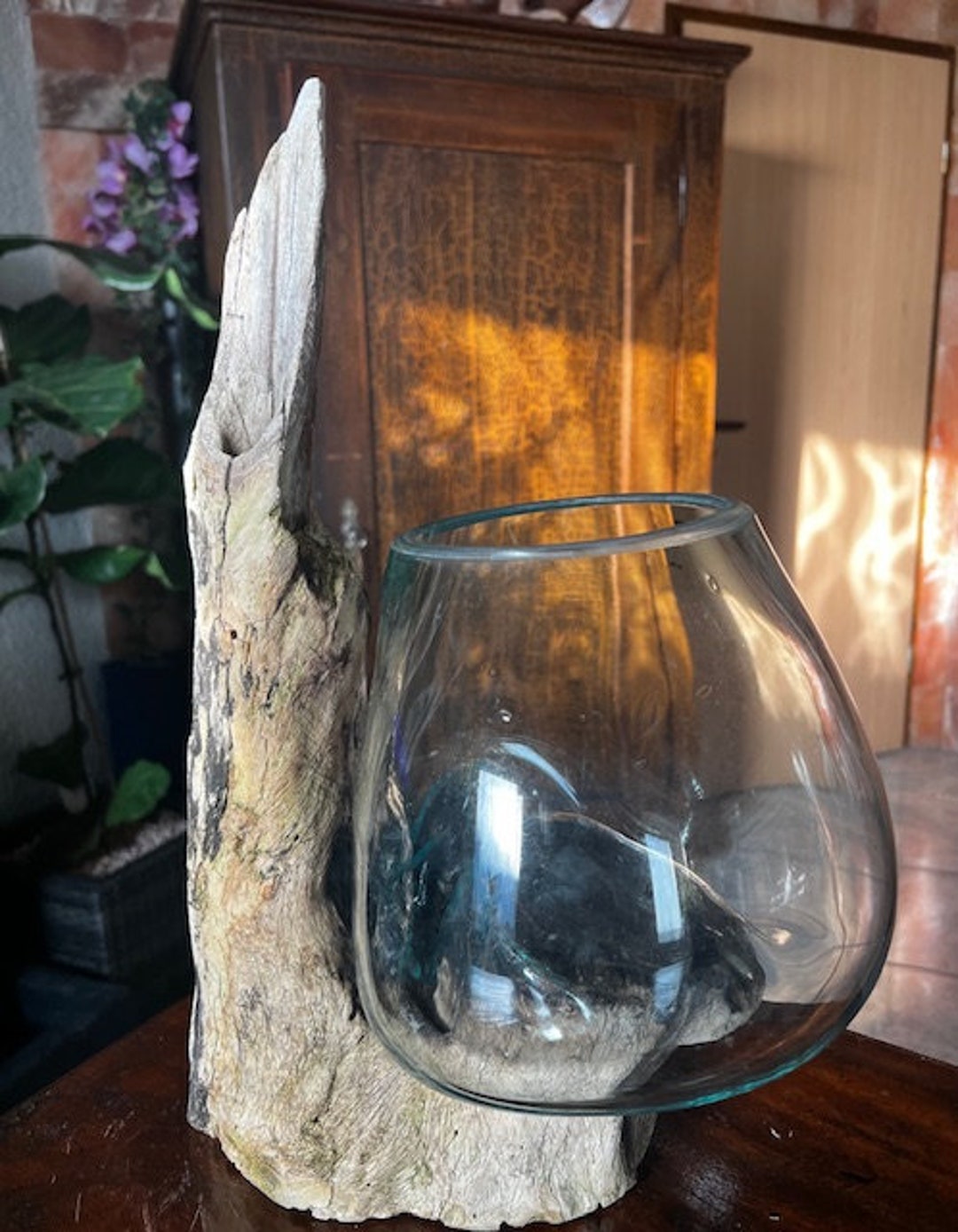 Root Wood Glass Vase Unique Gamal Wood Flower Vase Height 40.5 Cm Decorative Glass Liqva Vase