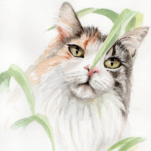 Original hand-painted watercolour pet portraits