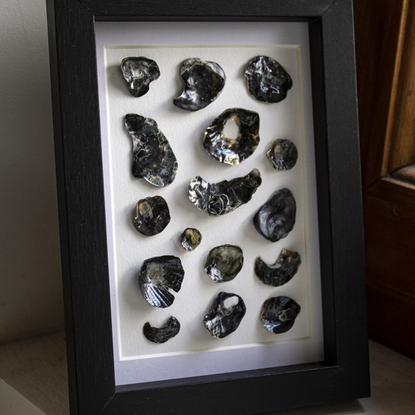 Tableau Nacre - Jingle Shell Art - Noir/black - 10x15cm - Cadre noir