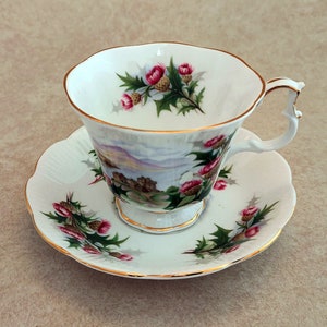 Royal Albert Tea Cup and Saucer - Ancestral Series - Road to the Isles