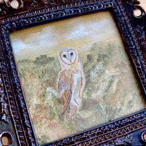 Peut inclure: Une peinture encadr&eacute;e d'un hibou des granges perch&eacute; sur une branche dans un champ. Le hibou est blanc avec des marques brunes et a des yeux jaunes. L'arri&egrave;re-plan est un doux brun et vert.