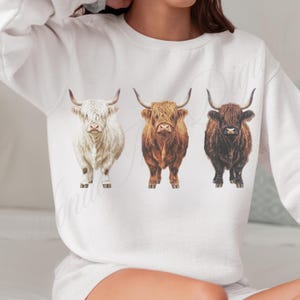 Highland Cow PNG, Western Design, PNG Sublimations, Farm Sublimations, Designs Downloads, Shirt Design, Sublimation Download