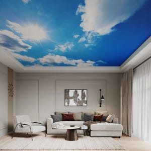 Può includere: Un soggiorno con un divano angolare bianco, un tavolino da caffè e una poltrona bianca. Il soffitto è decorato con una carta da parati con cielo blu e nuvole bianche.