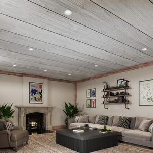 Può includere: Un soggiorno con un soffitto in legno a doghe sbiancato, un camino, un divano angolare, un tavolino da caffè e una serie di mensole con libri e piante.