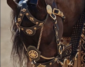 Horse Bridle in vintage Style with Free Fancy Horse Bit as a gift , Fancy horse bridle , Spanish Horse Bridle , Fancy Horse Halter