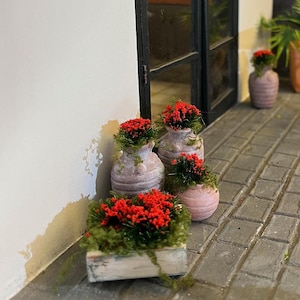 May include: Four terracotta pots with red flowers and green foliage, one pot is in a wooden box with a whitewash finish. The pots are on a brick patio.