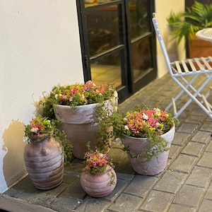 以下が含まれることがあります： ピンク、白、黄色の花と緑の苔が植えられた、異なるサイズと形のテラコッタ製の鉢が4つあります。鉢はレンガ敷きのパティオに並べてあります。