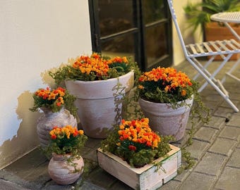 DOLLS HOUSE 1:12 Scale ORANGE Collection - Plants in Aged Rustic Terracotta Pots - Various Sizes and Plants