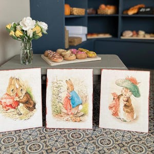 May include: Three framed illustrations of Peter Rabbit characters. The first image shows Peter Rabbit and his sister, the second image shows Peter Rabbit in a blue jacket, and the third image shows Peter Rabbit wearing a green hat and red dress.