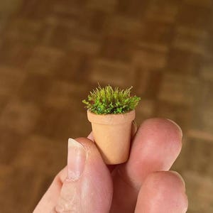 May include: A miniature terracotta pot filled with green and yellow grass. The small plant pot is held between two fingers, showcasing its tiny size. The pot has a classic shape and is unglazed.