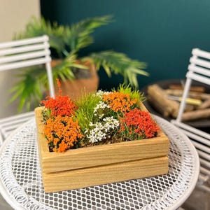 May include: A small wooden planter box filled with vibrant orange, white, and green plants. The box sits on a white metal table. The background is blurred, showing a plant and a white chair.