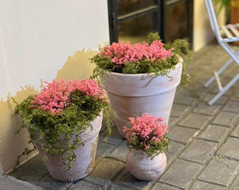 DOLLS HOUSE 1:12 Scale PINK Collection - Plants in Aged Rustic Terracotta Pots - Various Sizes and Plants