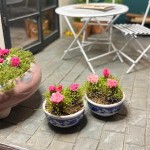 以下が含まれることがあります： 鮮やかなピンクの花と緑の葉を持つミニチュア鉢植え。小さな陶器の鉢は青と白の模様です。白いテーブルと椅子が背景にあり、魅力的な屋外シーンを作り出しています。