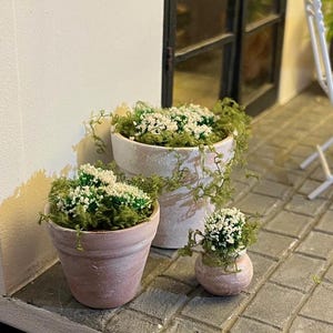 Puppenhaus 1: 12 WHITE Kollektion - Pflanzen in gealterten rustikalen Terrakotta-Töpfen - verschiedene Größen und Pflanzen