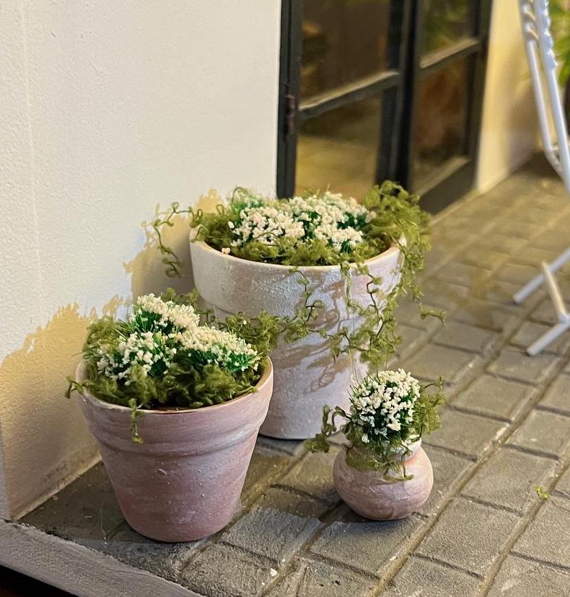 DOLLS HOUSE 1:12 Scale WHITE Collection - Plants in Aged Rustic Terracotta Pots - Various Sizes and Plants