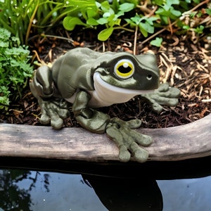 May include: A green and white frog figurine with a yellow eye. The frog is sitting on a wooden surface.