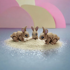 Flexi Mini Bunny