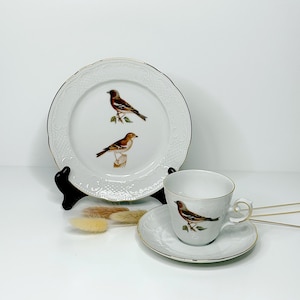 Può includere: Servizio di piatti e tazza da tè in porcellana bianca con finiture dorate. Il piatto presenta due illustrazioni di uccelli e la tazza e il piattino hanno un motivo a uccello abbinato. Il set è esposto su una superficie bianca.