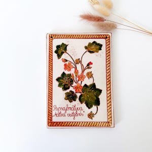 Vintage botanische wandtegel jaren 70 – Keramisch hangdecor Dwarf Mallow Malva Vulgaris