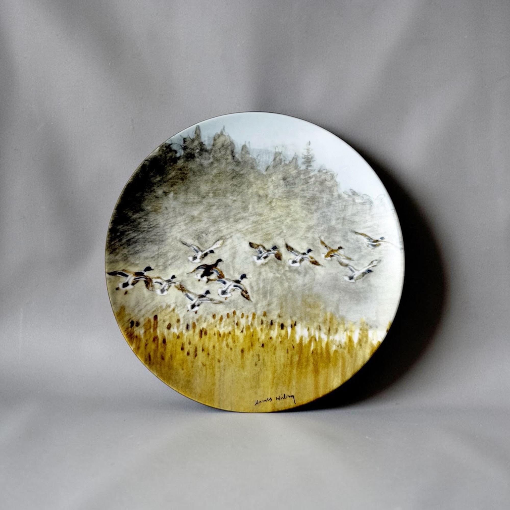 Waechtersbach plates - Etsy 日本