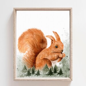 Squirrel Print, Forest Nursery Decor, Kids Room Decor, Woodland Animals, Squirrel Art, Watercolor Drawing, Forest Decor,  Woodland Decor