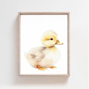 Baby Duck, Duckling Poster, Duck nursery Art, Duck Nursery Print, Duck Nursery Wall Art, Baby Duck Nursery Wall Art, Farm Animals, PRINTABLE