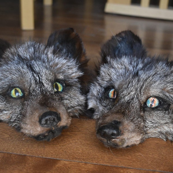 Taxidermy Mounted Fox Heads