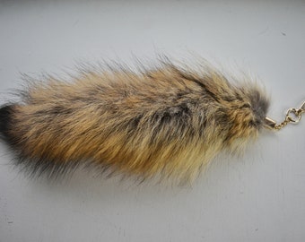 Coyote Tail