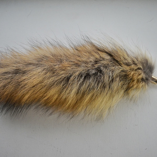 Coyote Tail