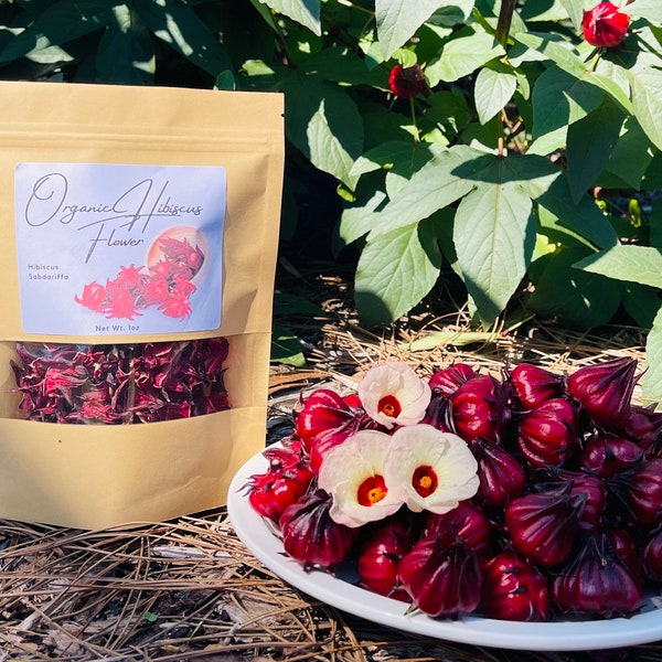 Roselle Tea / Dried Calyx / Jamaican Sorrel / Florida Grown Organic Hibiscus Flowers ( hibiscus Sabdariffa)