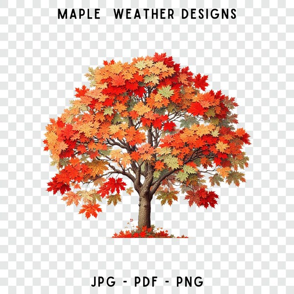 Maple Tree Png Plants Png Tree Png Trees Png Spring Png Trees Png Spring Png Maple Tree Png Printable Wall Decor Png Farmhouse Jpg Pdf 028